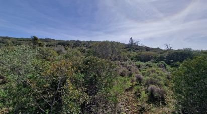 Terrain à Santa Bárbara de Nexe de 7 320 m²