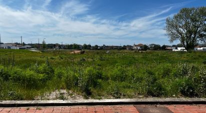 Terrain à Avanca de 992 m²