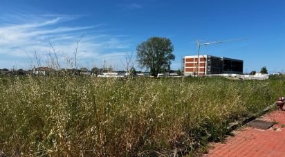 Terrain à Avanca de 1 116 m²