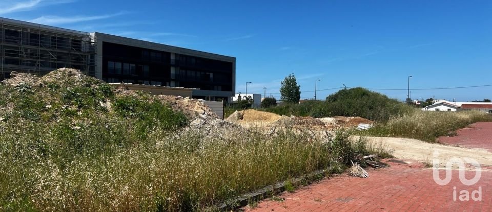 Land in Avanca of 1,116 m²