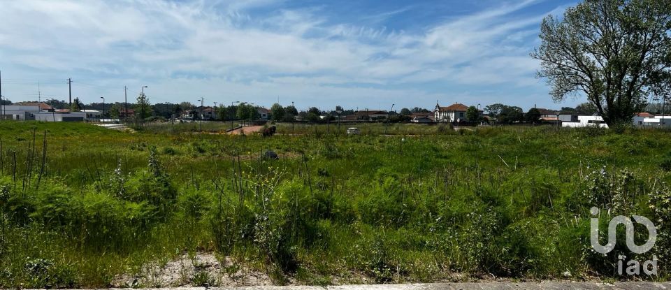 Land in Avanca of 1,116 m²