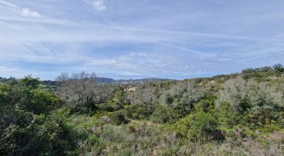 Terrain à Santa Bárbara de Nexe de 1 160 m²