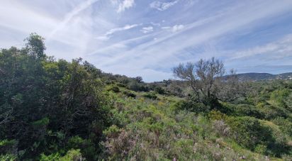 Terrain à Santa Bárbara de Nexe de 1 160 m²