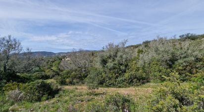 Terrain à Santa Bárbara de Nexe de 1 160 m²