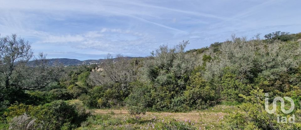 Terrain à Santa Bárbara de Nexe de 1 160 m²