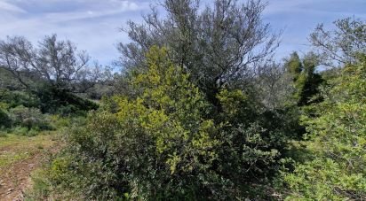 Terrain à Santa Bárbara de Nexe de 1 160 m²