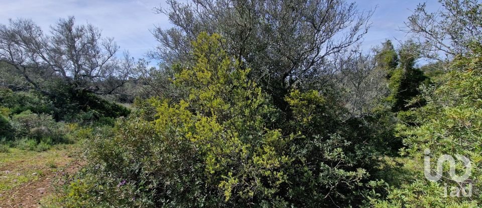 Terrain à Santa Bárbara de Nexe de 1 160 m²
