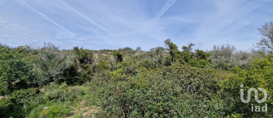 Terreno em Santa Bárbara de Nexe de 1 160 m²