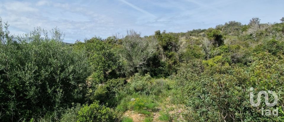 Terrain à Santa Bárbara de Nexe de 1 160 m²