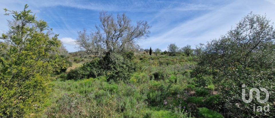 Terrain à Santa Bárbara de Nexe de 1 160 m²