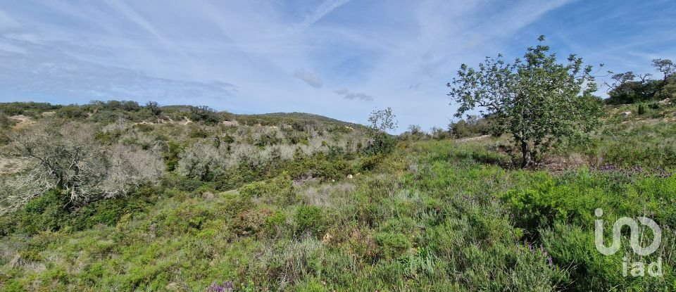 Terrain à Santa Bárbara de Nexe de 1 160 m²