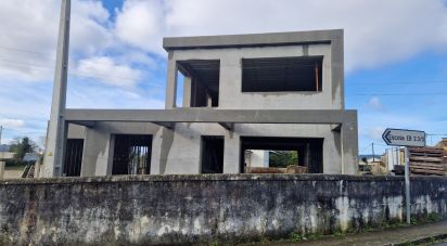 Casa / Villa T3 em Santa Marta de Portuzelo de 297 m²