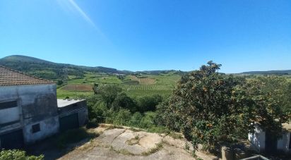 Traditional house T6 in Vilar of 508 m²