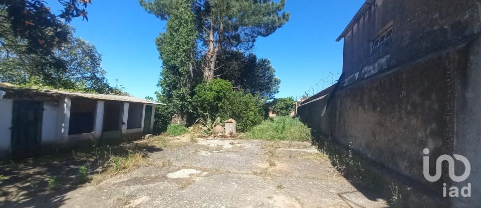 Traditional house T6 in Vilar of 508 m²