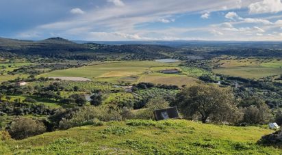 Maison traditionnelle T2 à Alegrete de 84 m²