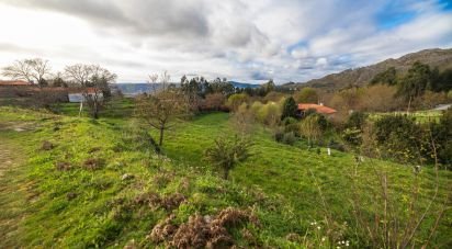 Land in Loivo of 3,600 m²