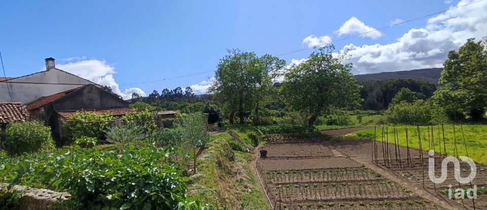 Farm T2 in Coura of 1,821 m²