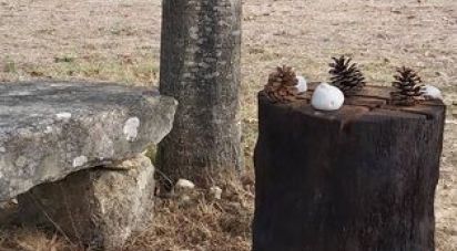 Land in Mentrestido of 809 m²