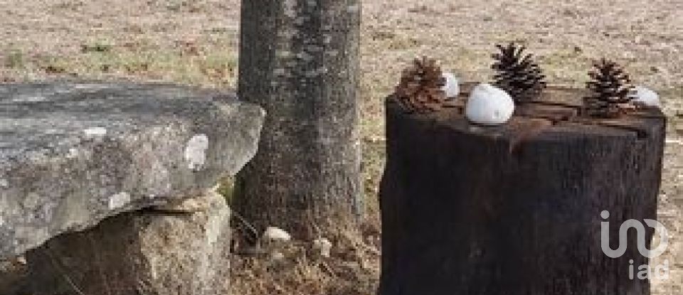 Terreno em Mentrestido de 809 m²