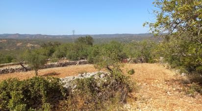 Terrain à Querença, Tôr e Benafim de 5 560 m²