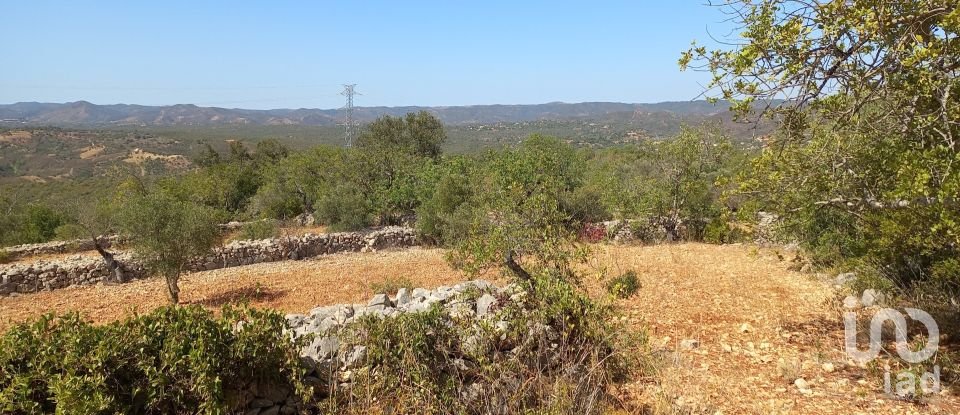 Land in Querença, Tôr e Benafim of 5,560 m²