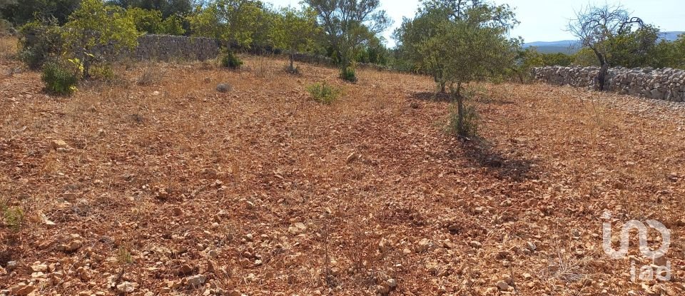 Land in Querença, Tôr e Benafim of 5,560 m²