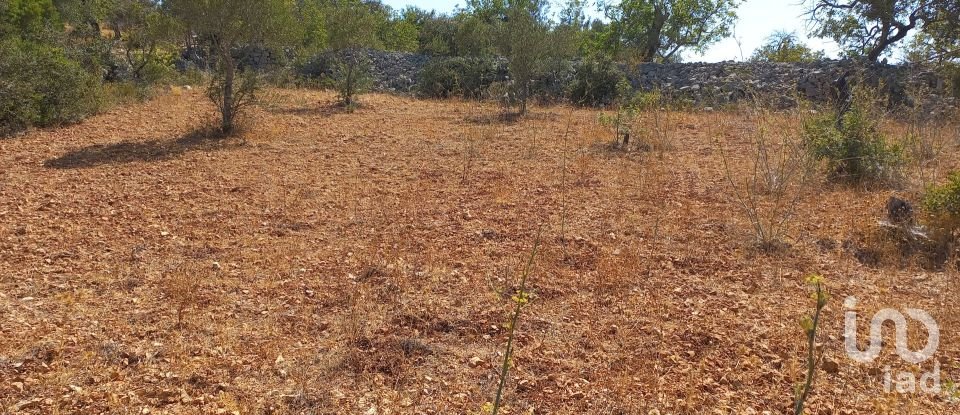 Land in Querença, Tôr e Benafim of 5,560 m²