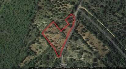 Land in Querença, Tôr e Benafim of 5,560 m²