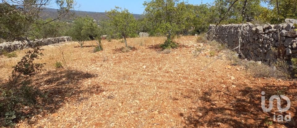 Land in Querença, Tôr e Benafim of 5,560 m²