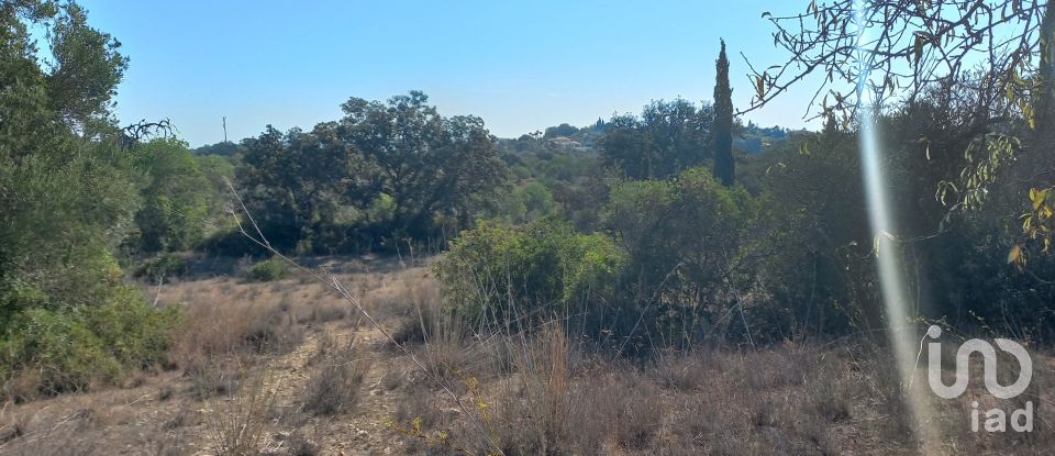 Terreno em Loulé (São Clemente) de 4 300 m²