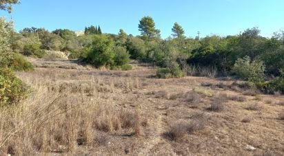 Terrain à Loulé (São Clemente) de 4 300 m²