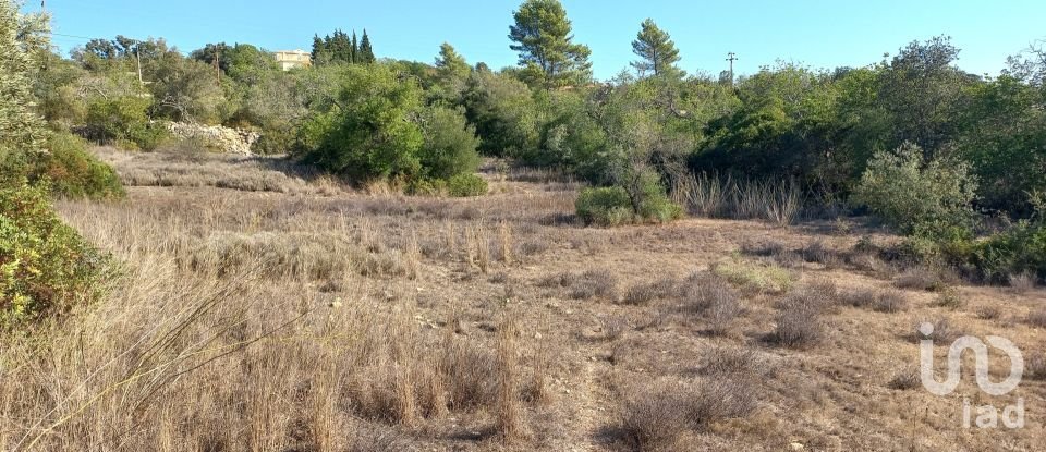 Terreno em Loulé (São Clemente) de 4 300 m²