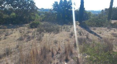 Terrain à Loulé (São Clemente) de 4 300 m²