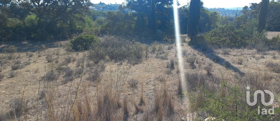 Terreno em Loulé (São Clemente) de 4 300 m²