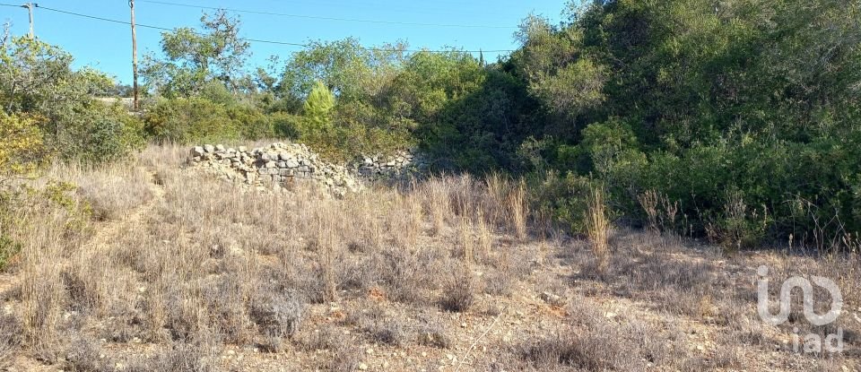 Terreno em Loulé (São Clemente) de 4 300 m²