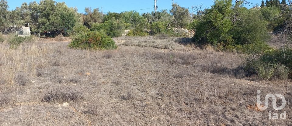 Terreno em Loulé (São Clemente) de 4 300 m²