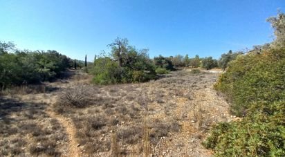 Land in Loulé (São Clemente) of 4,300 m²