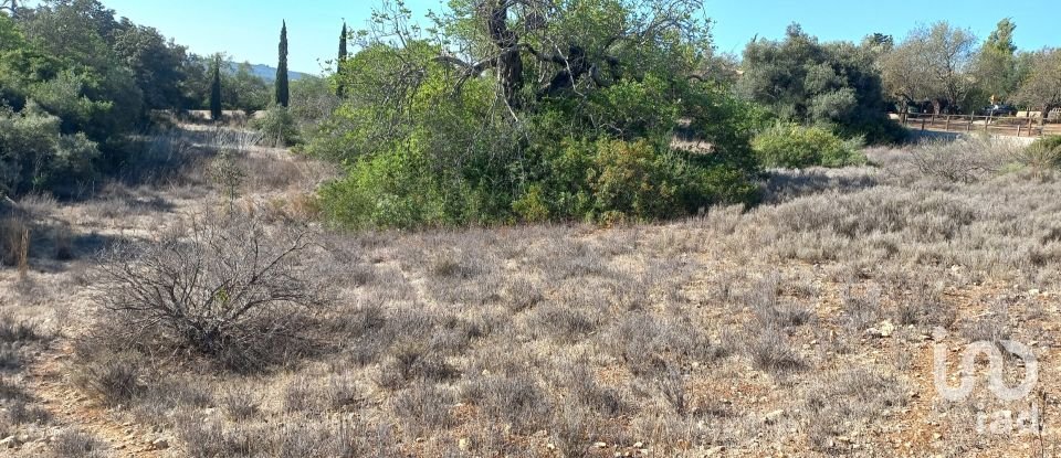 Terreno em Loulé (São Clemente) de 4 300 m²