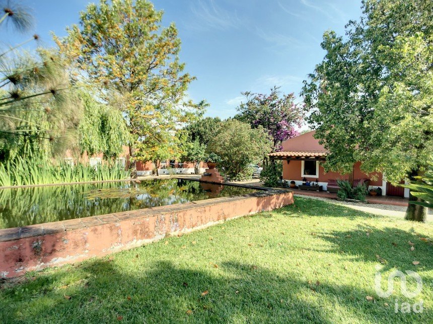 Domaine T5 in São Teotónio of 970 m²