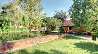 Domaine T5 à São Teotónio de 970 m²