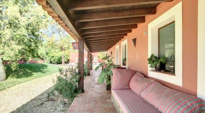 Domaine T5 à São Teotónio de 970 m²