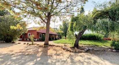 Domaine T5 à São Teotónio de 970 m²