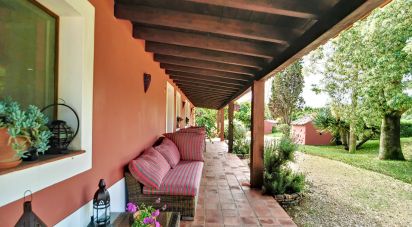 Domaine T5 à São Teotónio de 970 m²