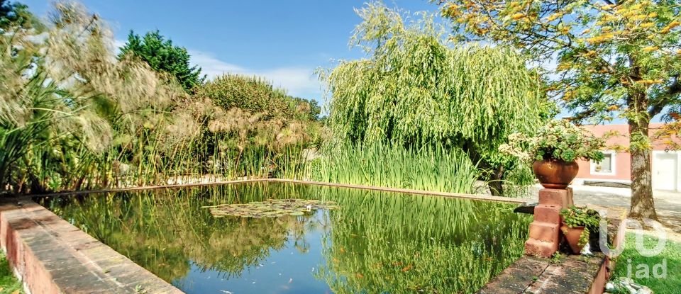 Domaine T5 in São Teotónio of 970 m²