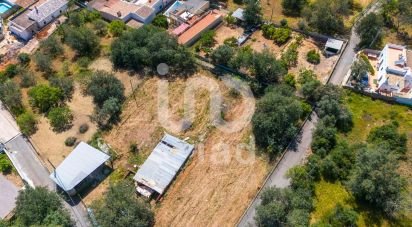 Terreno para construção em Querença, Tôr e Benafim de 1 064 m²