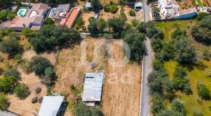 Terreno para construção em Querença, Tôr e Benafim de 1 064 m²