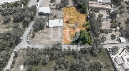Terrain à bâtir à Querença, Tôr e Benafim de 1 064 m²