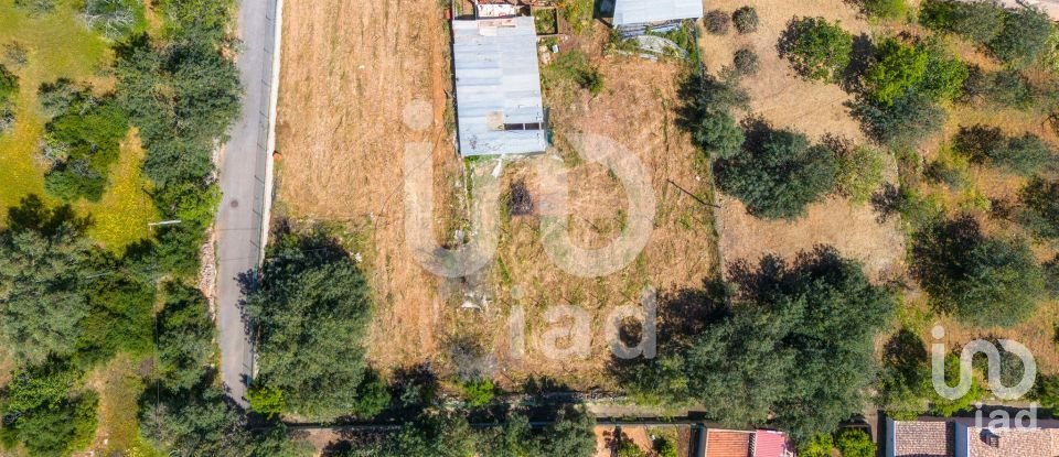 Building plot in Querença, Tôr e Benafim of 1,064 m²