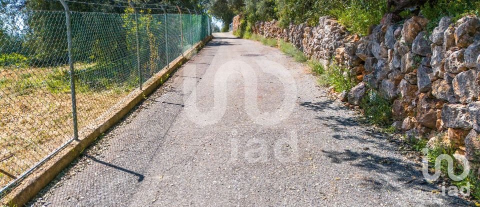 Building plot in Querença, Tôr e Benafim of 1,064 m²