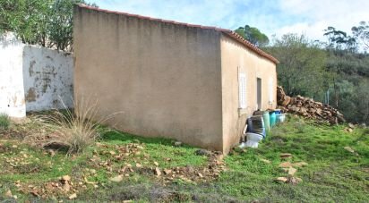 Maison rustique T0 à Querença, Tôr e Benafim de 39 m²